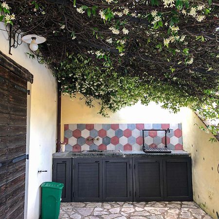 Umbria, "Casa Sagrantina" Con Piscina E Pergolato Daire Collazzone Dış mekan fotoğraf