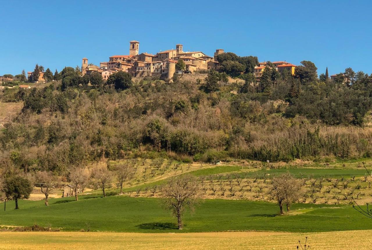 Umbria, "Casa Sagrantina" Con Piscina E Pergolato Daire Collazzone Dış mekan fotoğraf