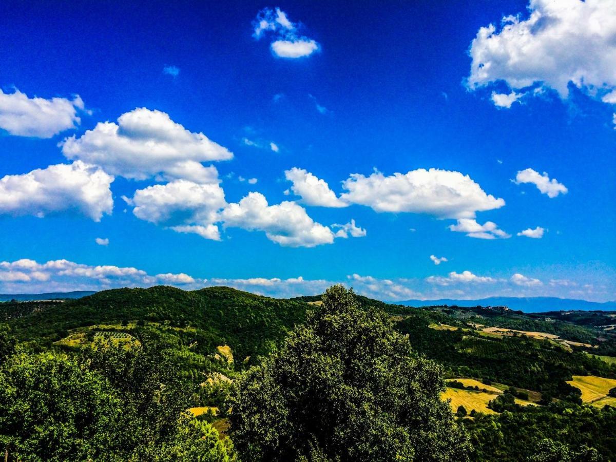 Umbria, "Casa Sagrantina" Con Piscina E Pergolato Daire Collazzone Dış mekan fotoğraf